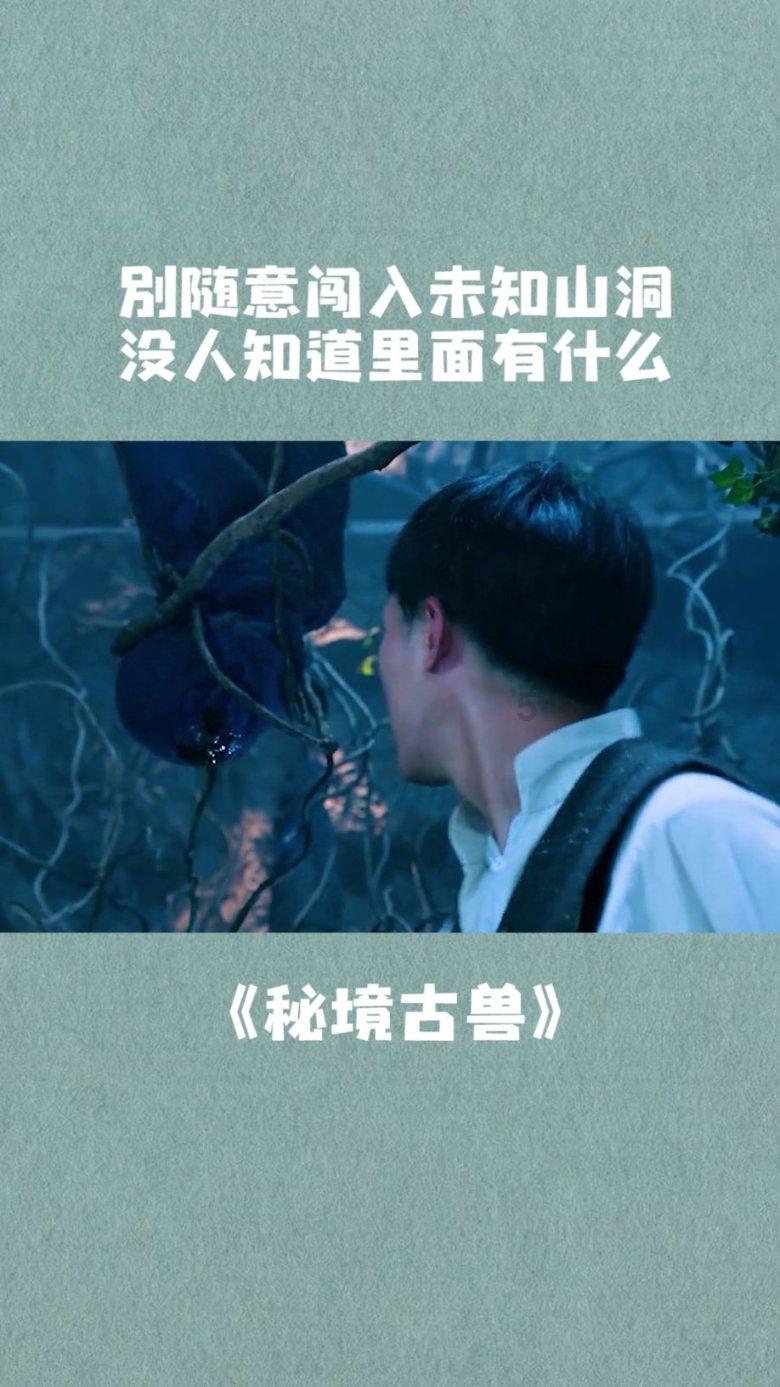 向上要空间 vs 向前寻变化 ——从配置和交易维度看红利策略
