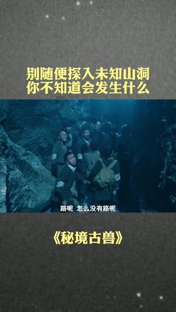 怎么查车的保险公司游戏画面
